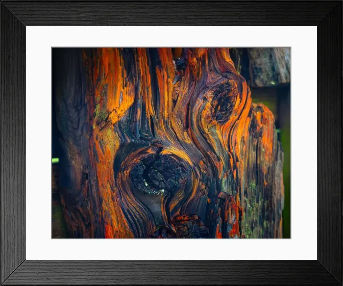 Framed Print : 2sbfxm6 Framed Print : 2sbfxm6