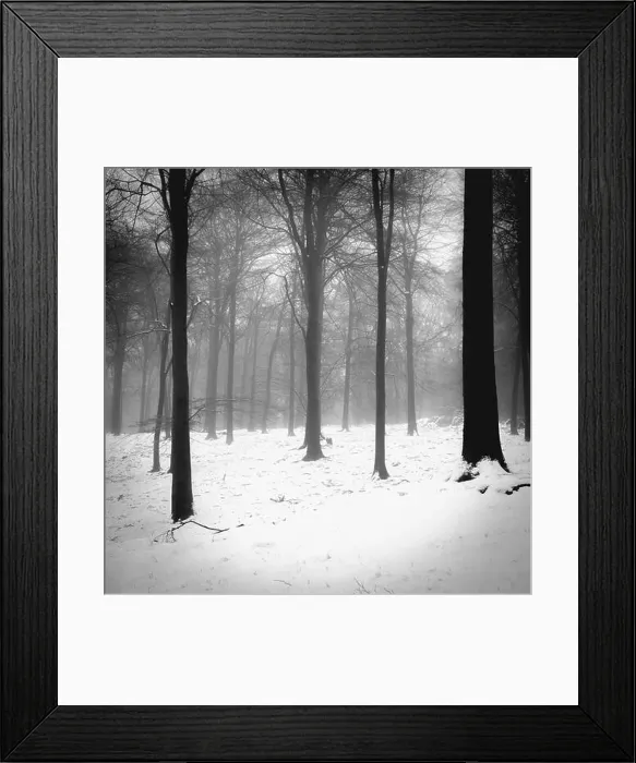 Framed Print : 2sbfxn8 Framed Print : 2sbfxn8