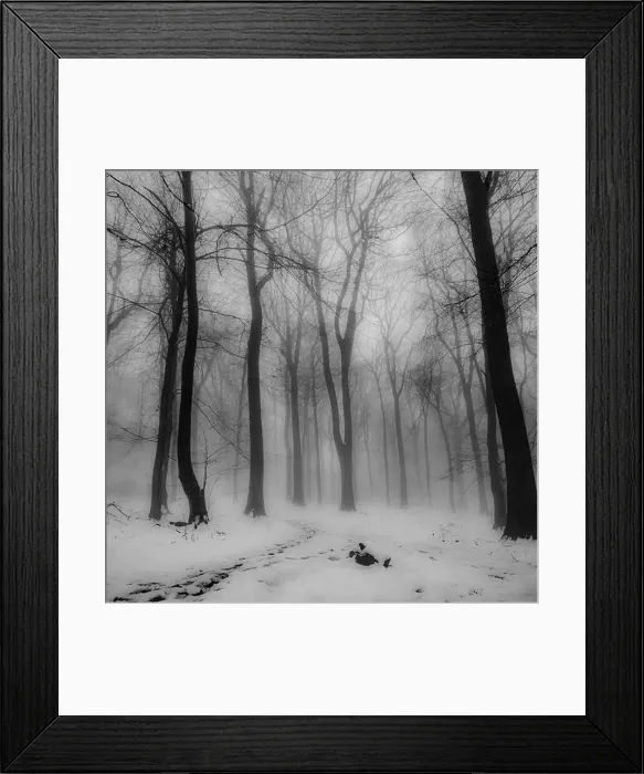 Framed Print : 2sbfxng Framed Print : 2sbfxng