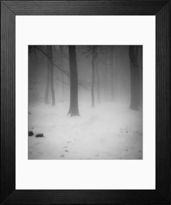 Framed Print : 2sbfxpf Framed Print : 2sbfxpf