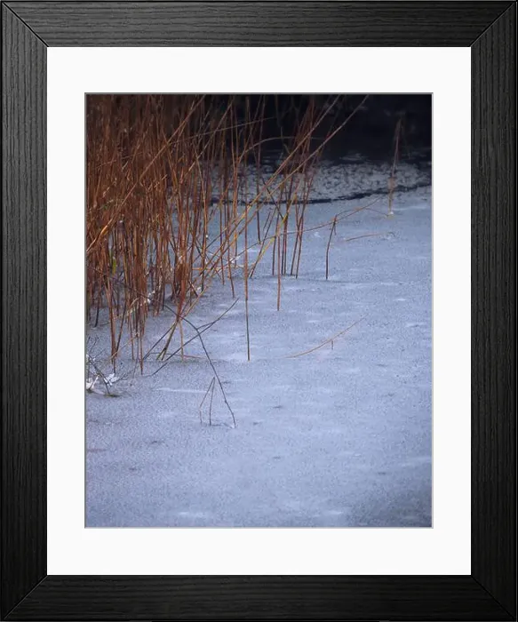 Framed Print : 2sbfxr7 Framed Print : 2sbfxr7