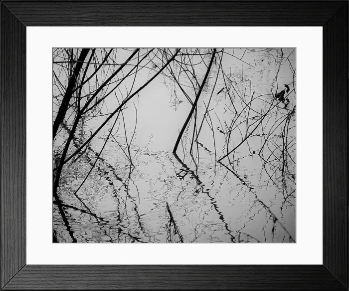 Framed Print : 2sbfxt8 Framed Print : 2sbfxt8
