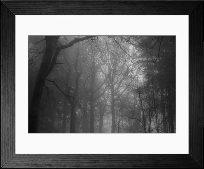 Framed Print : 2sbfxyx Framed Print : 2sbfxyx