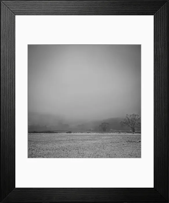 Framed Print : 2sbfyef Framed Print : 2sbfyef