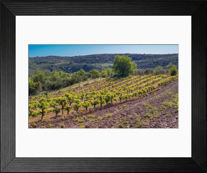 Framed Print : 2sbgg23 Framed Print : 2sbgg23