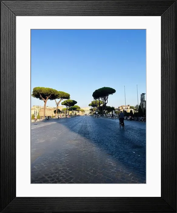 Framed Print : 2sbggr2 Framed Print : 2sbggr2