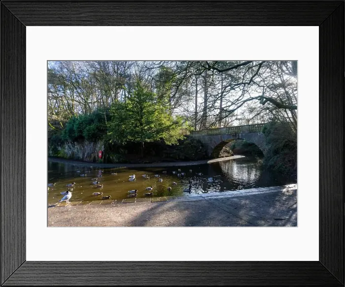 Framed Print : 2sbkegc Framed Print : 2sbkegc