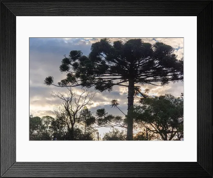 Framed Print : 2sbtwak Framed Print : 2sbtwak
