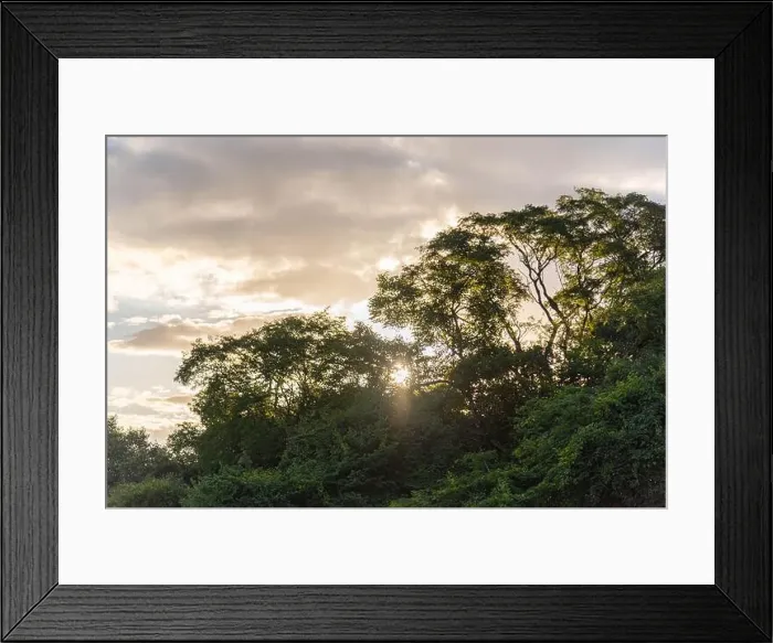 Framed Print : 2sbtwan Framed Print : 2sbtwan