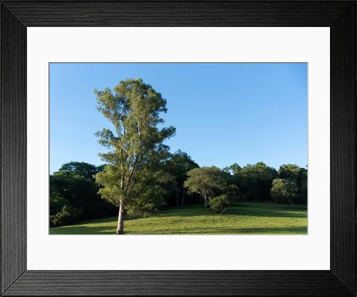 Framed Print : 2sbtwaw Framed Print : 2sbtwaw
