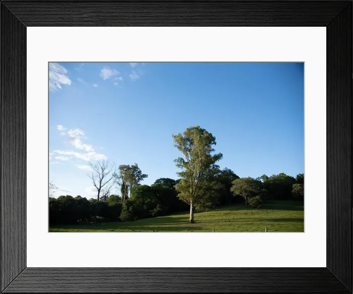 Framed Print : 2sbtwb1 Framed Print : 2sbtwb1