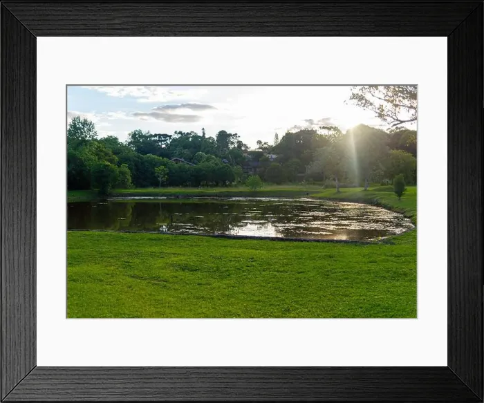 Framed Print : 2sbtwb4 Framed Print : 2sbtwb4