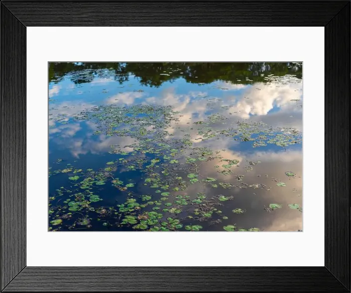 Framed Print : 2sbtwb6 Framed Print : 2sbtwb6