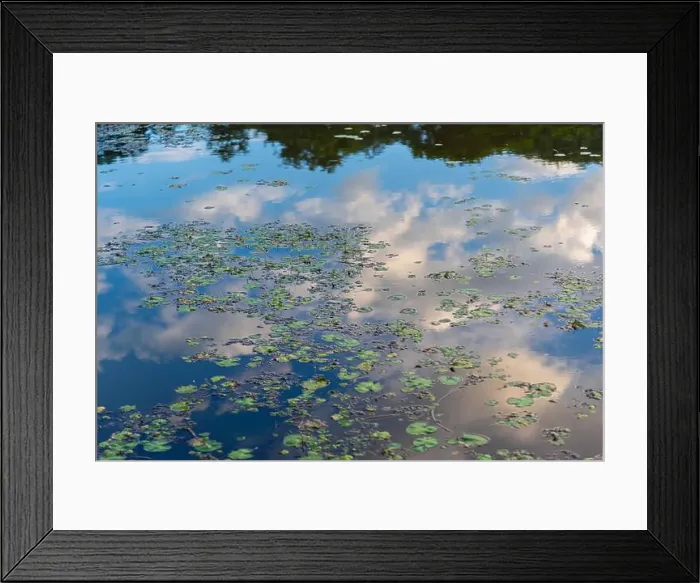 Framed Print : 2sbtwb8 Framed Print : 2sbtwb8