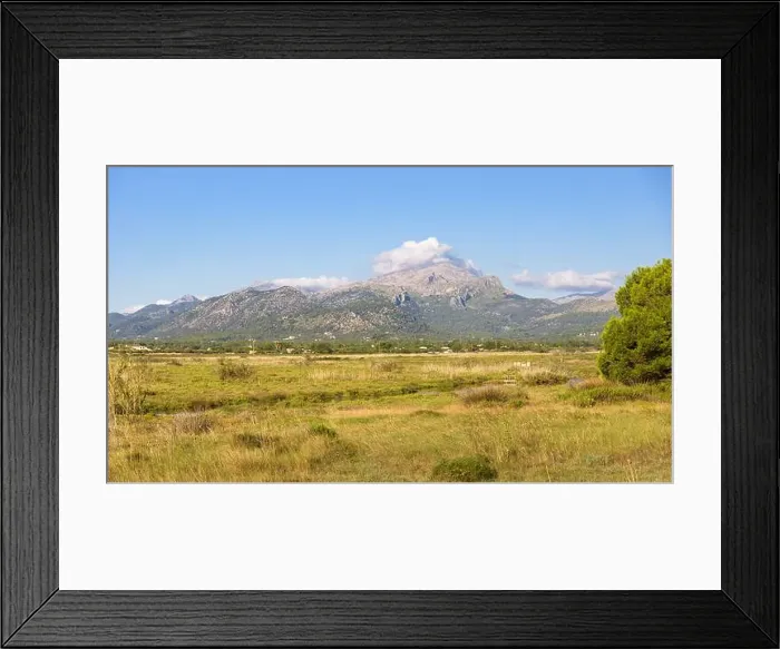 Framed Print : 2sbxam5 Framed Print : 2sbxam5