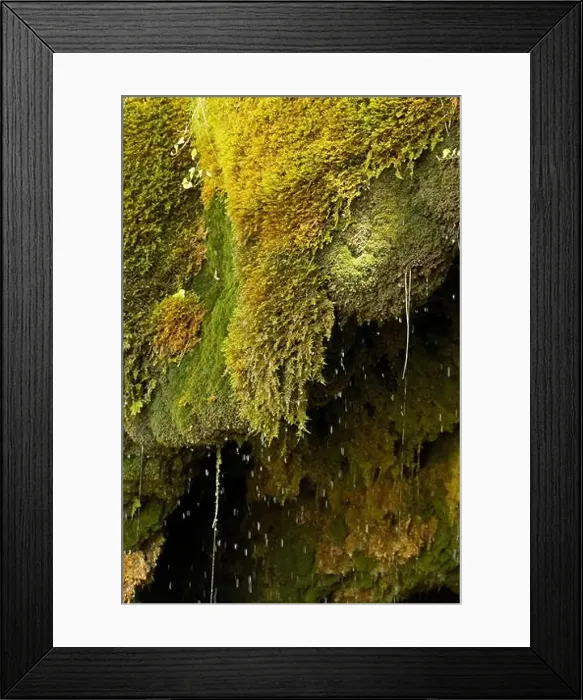 Framed Print : 2sc1mff Framed Print : 2sc1mff