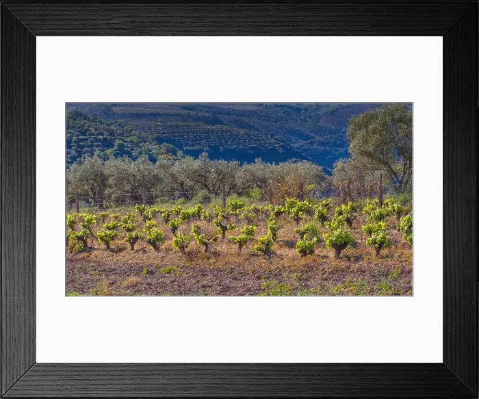 Framed Print : 2sc2gb2 Framed Print : 2sc2gb2