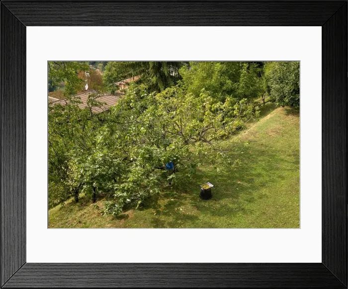 Framed Print : 2sc5g46 Framed Print : 2sc5g46