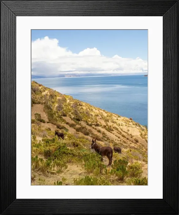 Framed Print : 2sc5n09 Framed Print : 2sc5n09
