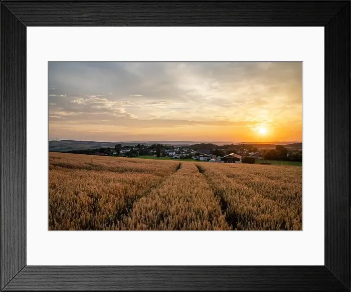Framed Print : 2scagx6 Framed Print : 2scagx6
