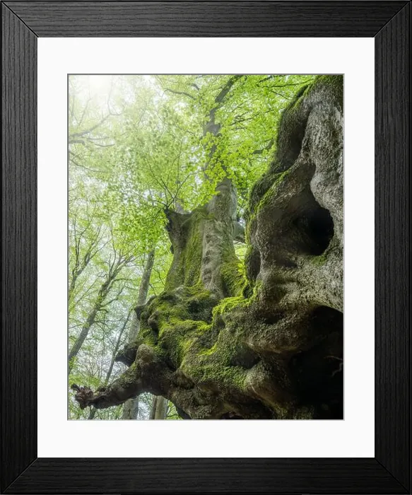 Framed Print : 2scagy2 Framed Print : 2scagy2