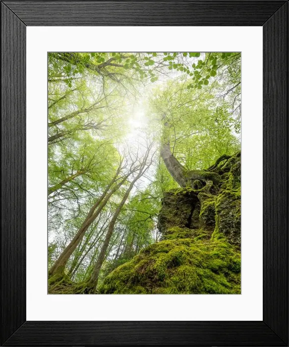 Framed Print : 2scagy8 Framed Print : 2scagy8