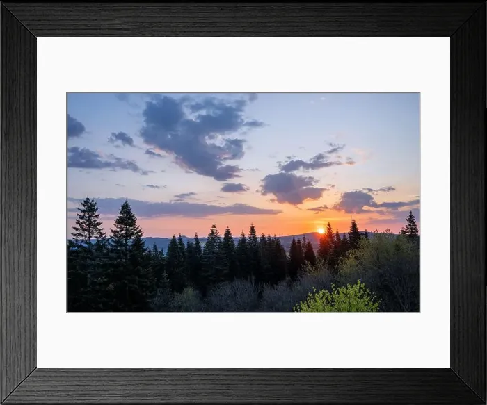 Framed Print : 2scagyd Framed Print : 2scagyd