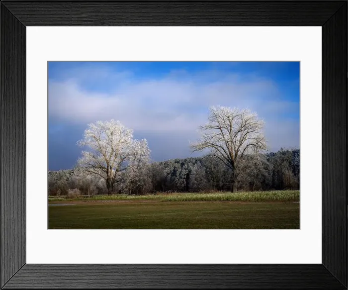 Framed Print : 2sf6cx0 Framed Print : 2sf6cx0