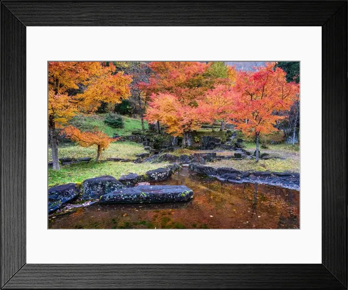 Framed Print : 2sf75pp Framed Print : 2sf75pp