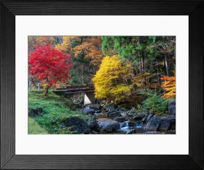 Framed Print : 2sf75pt Framed Print : 2sf75pt