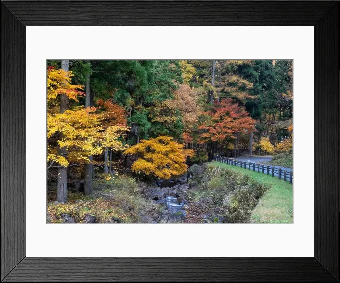 Framed Print : 2sf75px Framed Print : 2sf75px
