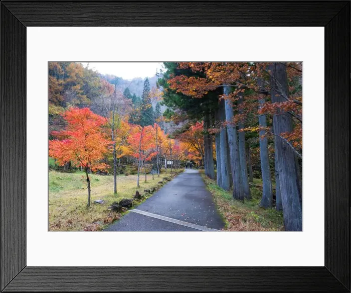 Framed Print : 2sf75py Framed Print : 2sf75py