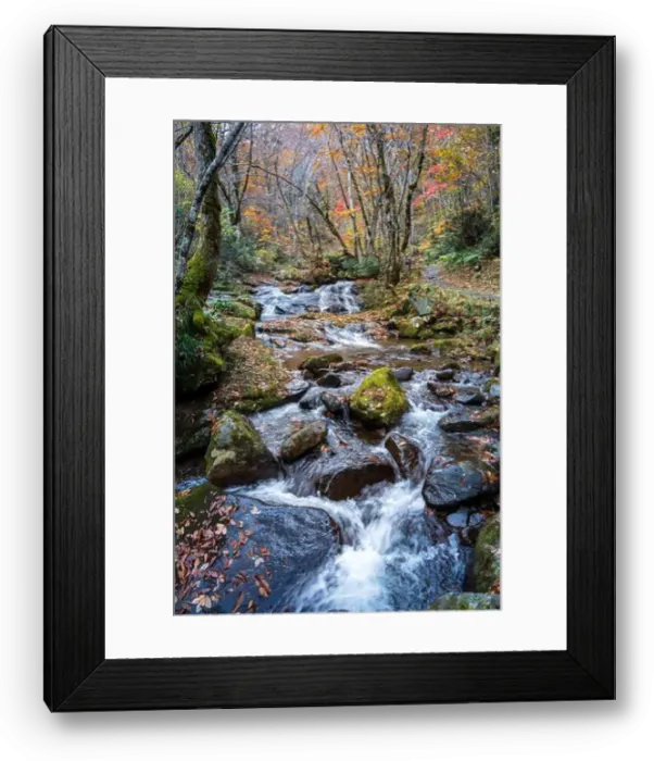 Framed Print : 2sf75r1 Framed Print : 2sf75r1