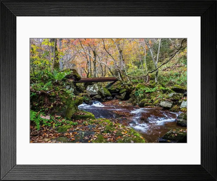 Framed Print : 2sf75r5 Framed Print : 2sf75r5