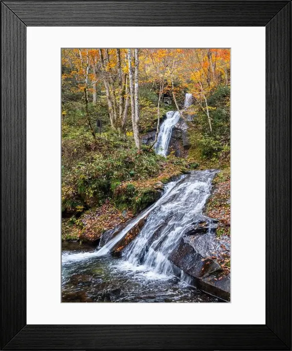 Framed Print : 2sf75r9 Framed Print : 2sf75r9