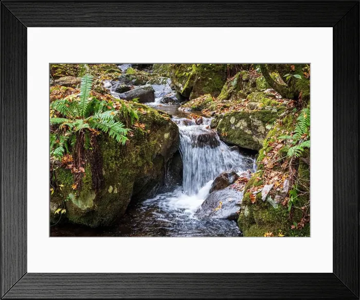 Framed Print : 2sf76bx Framed Print : 2sf76bx