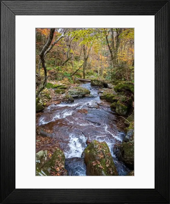 Framed Print : 2sf76c2 Framed Print : 2sf76c2