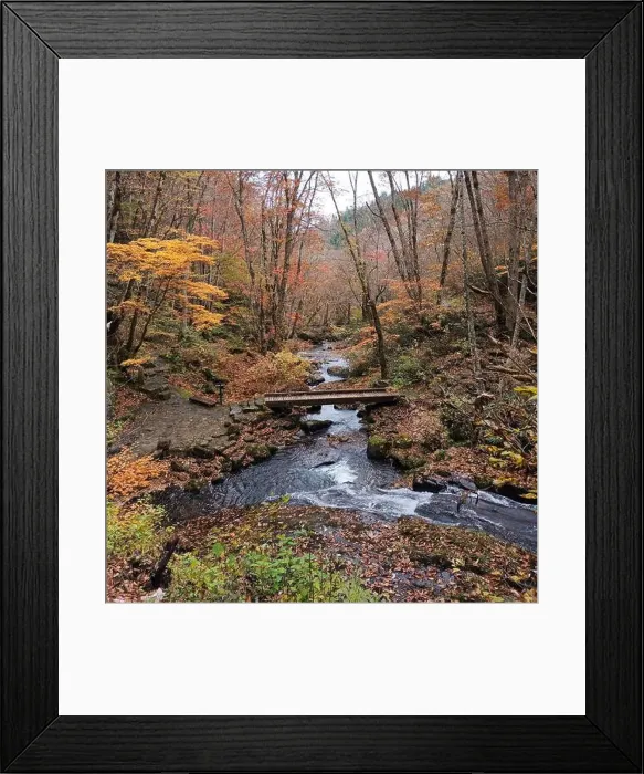 Framed Print : 2sf76cf Framed Print : 2sf76cf