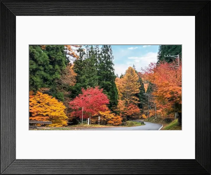 Framed Print : 2sf76cg Framed Print : 2sf76cg