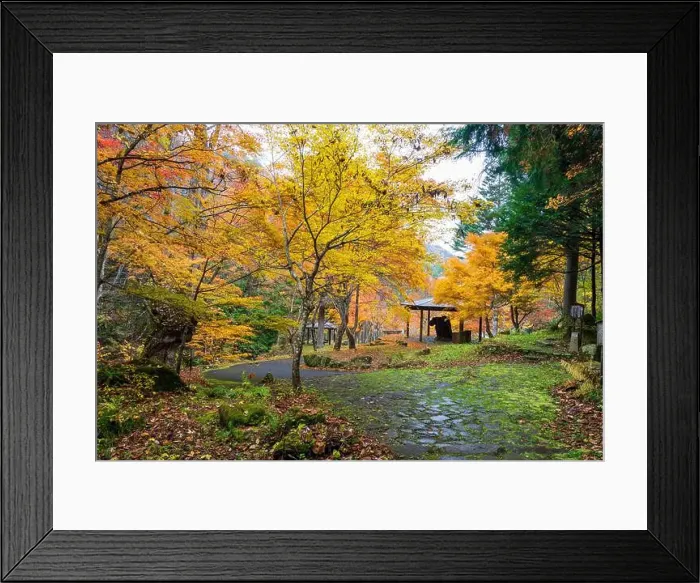 Framed Print : 2sf76d0 Framed Print : 2sf76d0