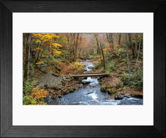 Framed Print : 2sf76d5 Framed Print : 2sf76d5