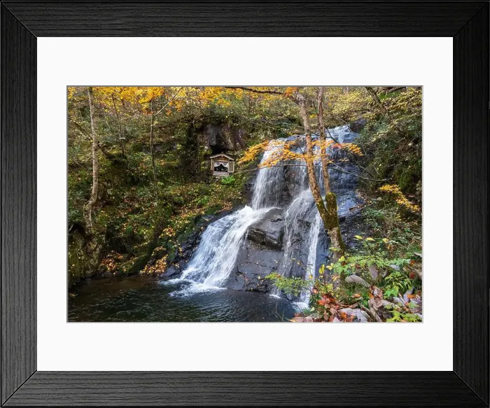 Framed Print : 2sf76d6 Framed Print : 2sf76d6