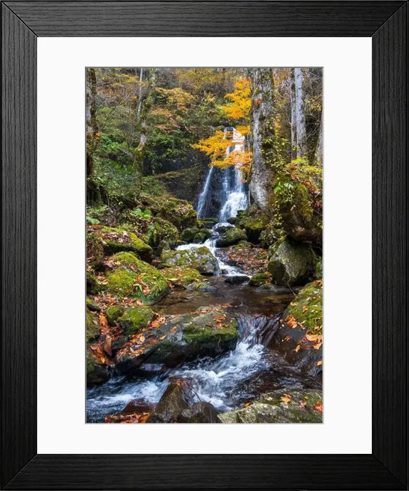 Framed Print : 2sf76dd Framed Print : 2sf76dd