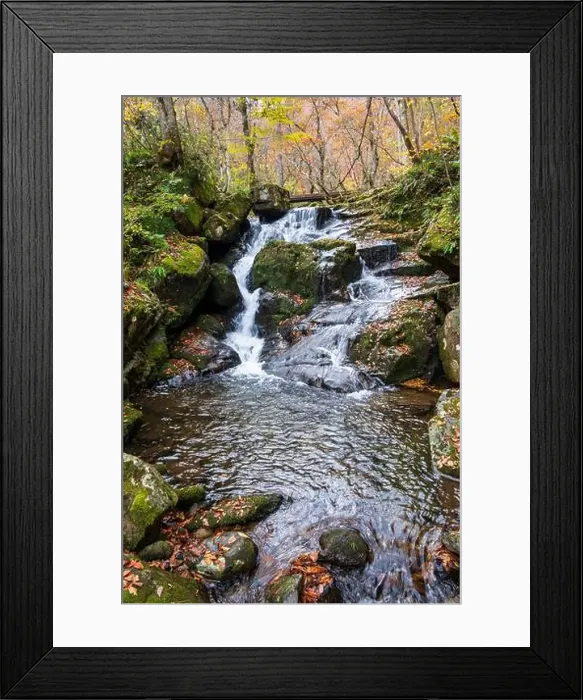 Framed Print : 2sf76de Framed Print : 2sf76de