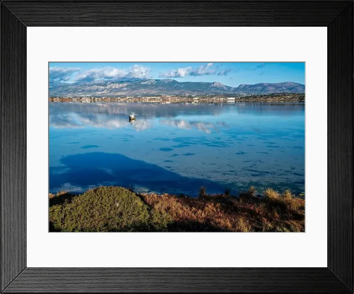 Framed Print : 2sg1e4b Framed Print : 2sg1e4b