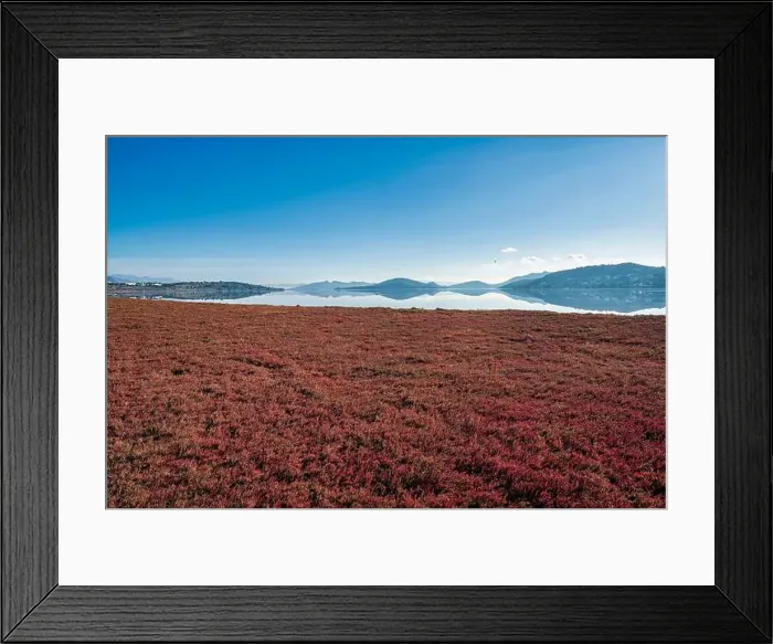 Framed Print : 2sg1jwb Framed Print : 2sg1jwb