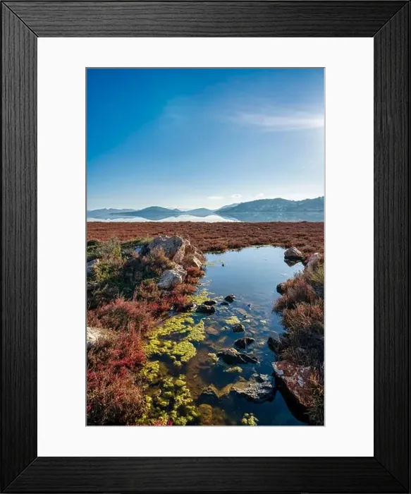 Framed Print : 2sg1m80 Framed Print : 2sg1m80
