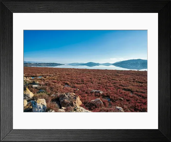 Framed Print : 2sg1rgt Framed Print : 2sg1rgt