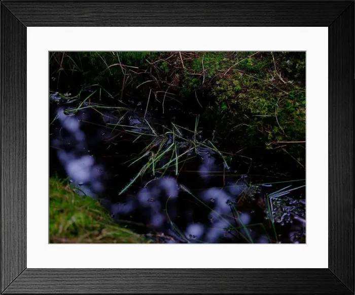 Framed Print : 2sgj1tj Framed Print : 2sgj1tj