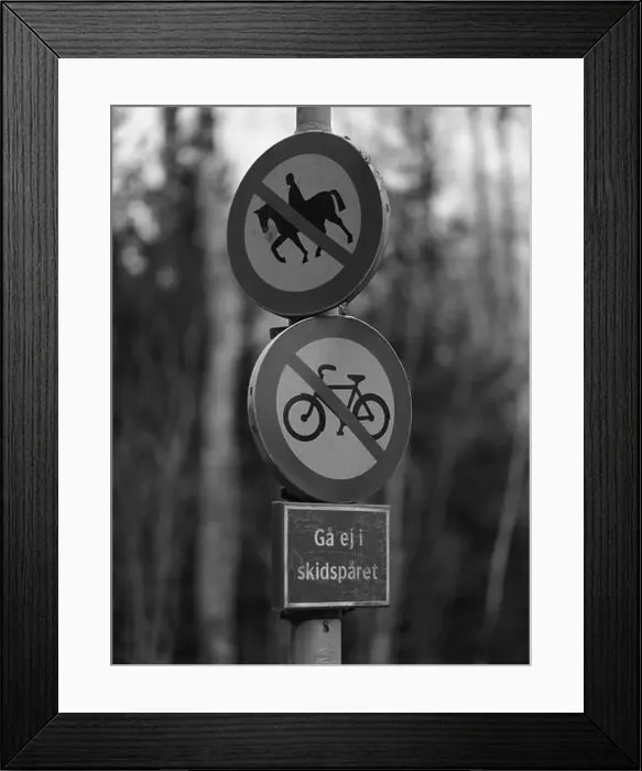 Framed Print : 2sgj2fp Framed Print : 2sgj2fp